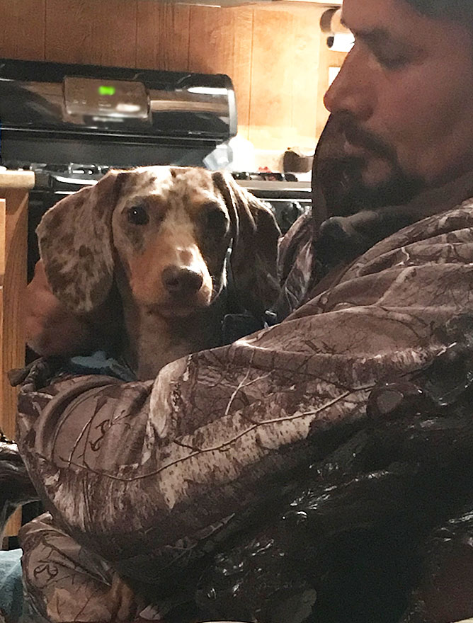 vet and man's best friend